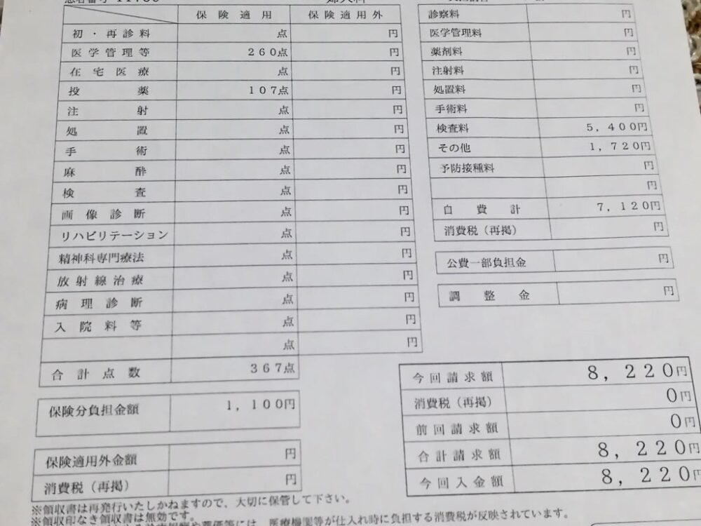 妊婦検診(32週目)