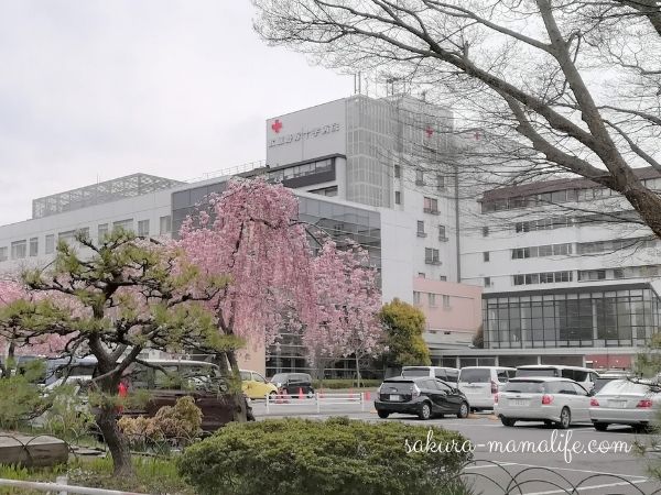 武蔵野赤十字病院の産婦人科病棟